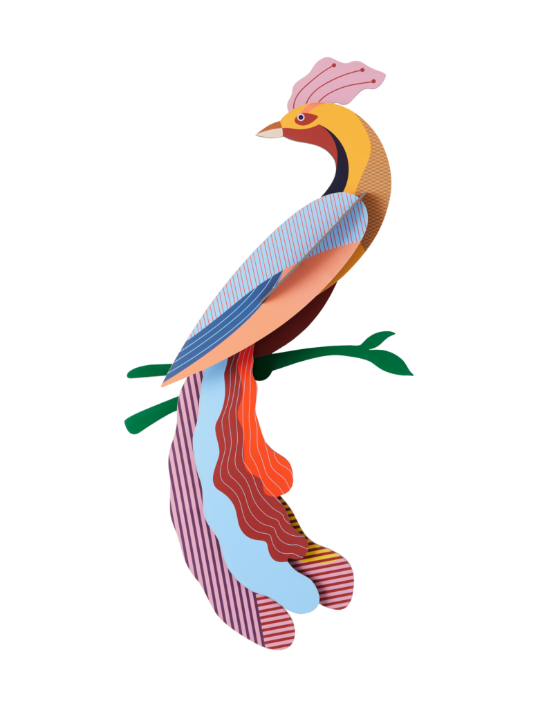 studio roof Nusa Thema's Nusa Vogels