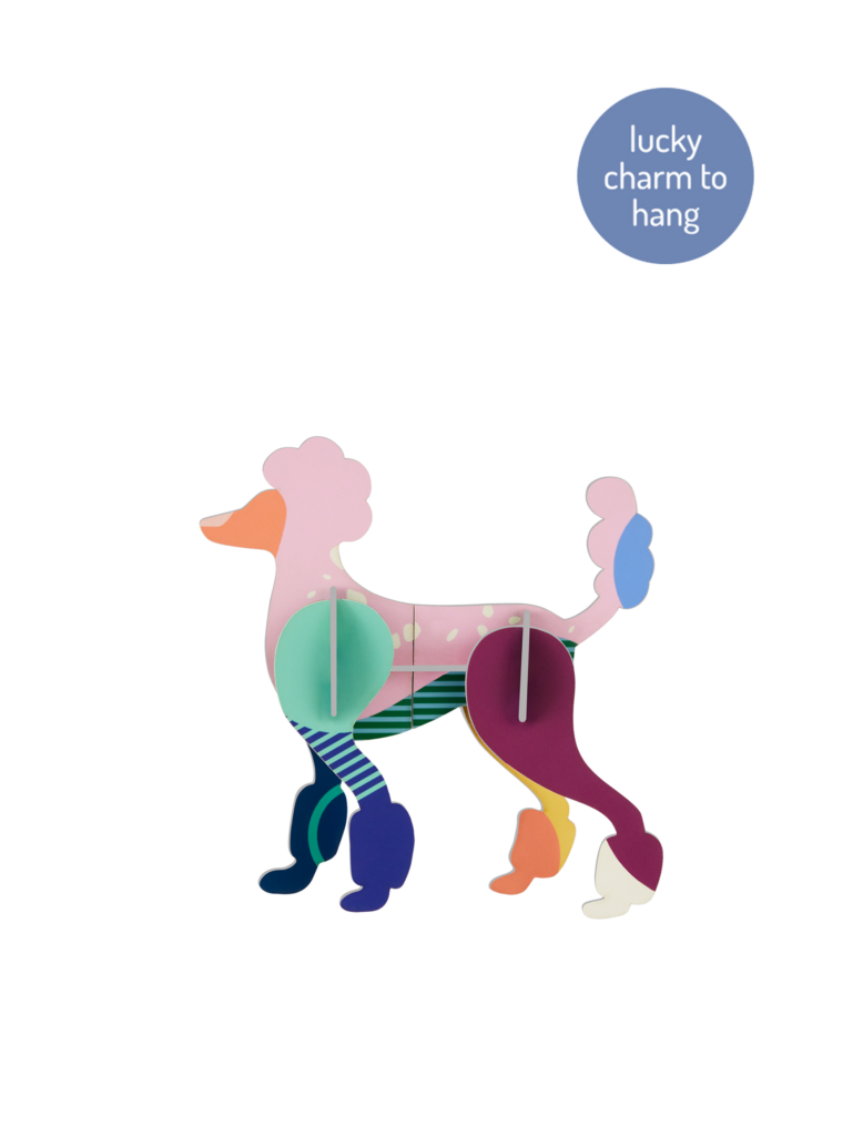 studio roof Poodle Thema's Poodle Huisdieren