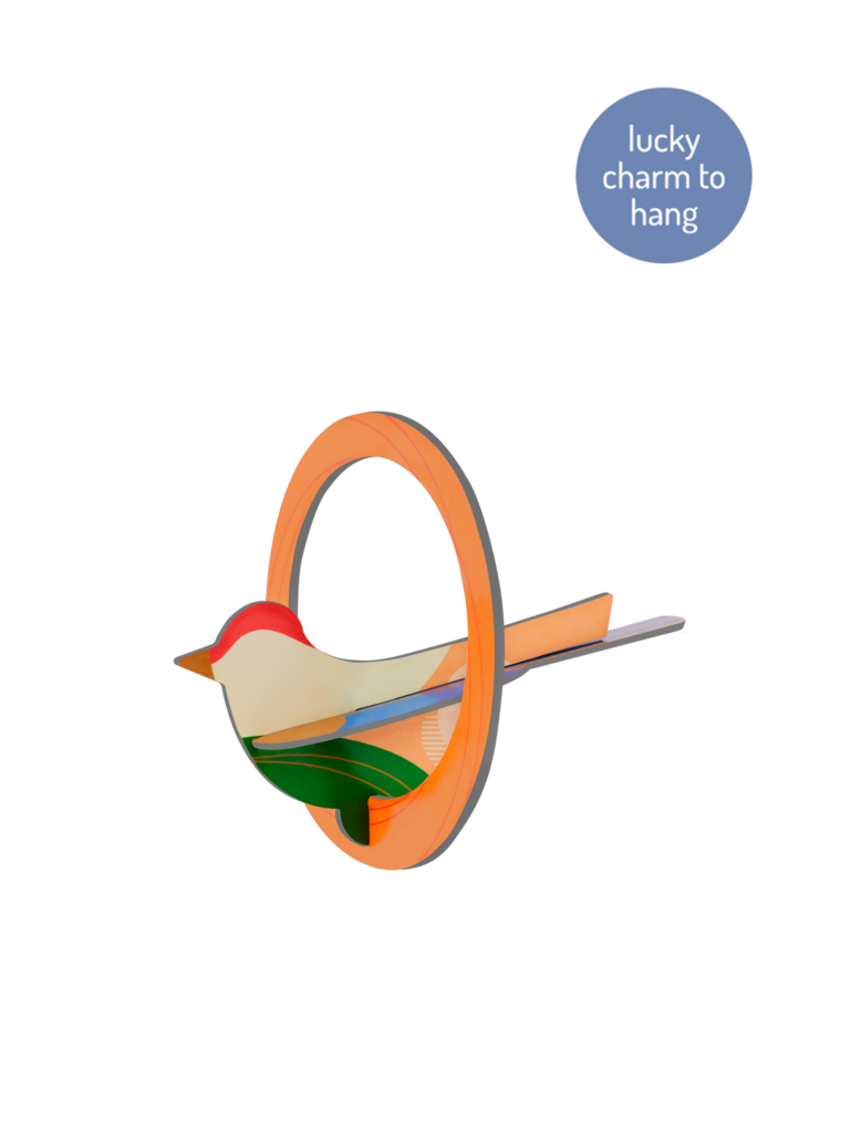 studio roof Robin Thema's Robin Vogels