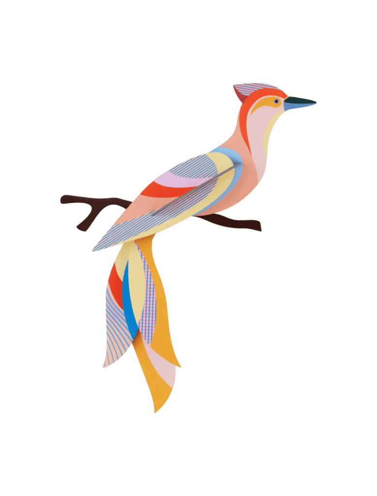 studio roof Sabah Thema's Sabah Vogels