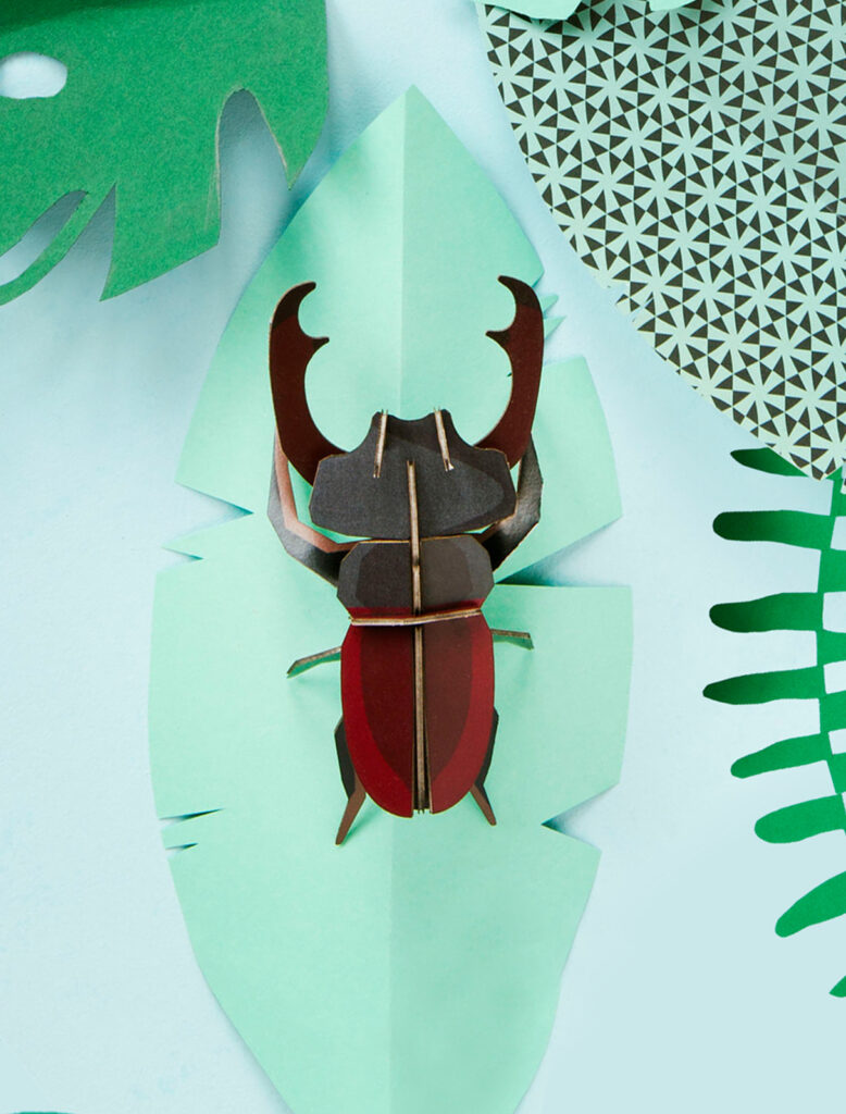 Studio Roof Stag Beetle Thema's Stag Beetle Kevers
