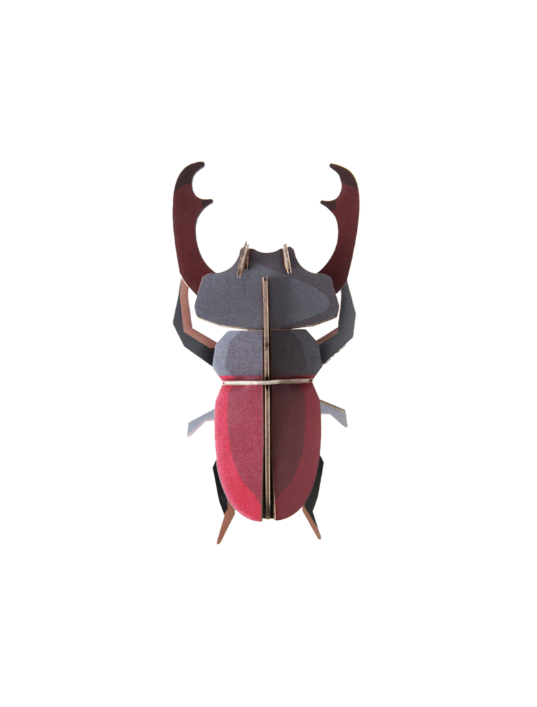 studio roof Stag Beetle Thema's Stag Beetle Kevers