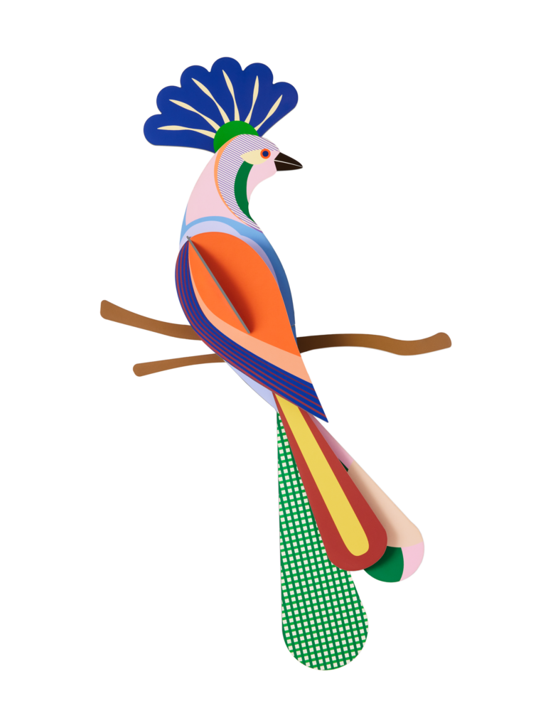 studio roof Tinjil Thema's Tinjil Vogels