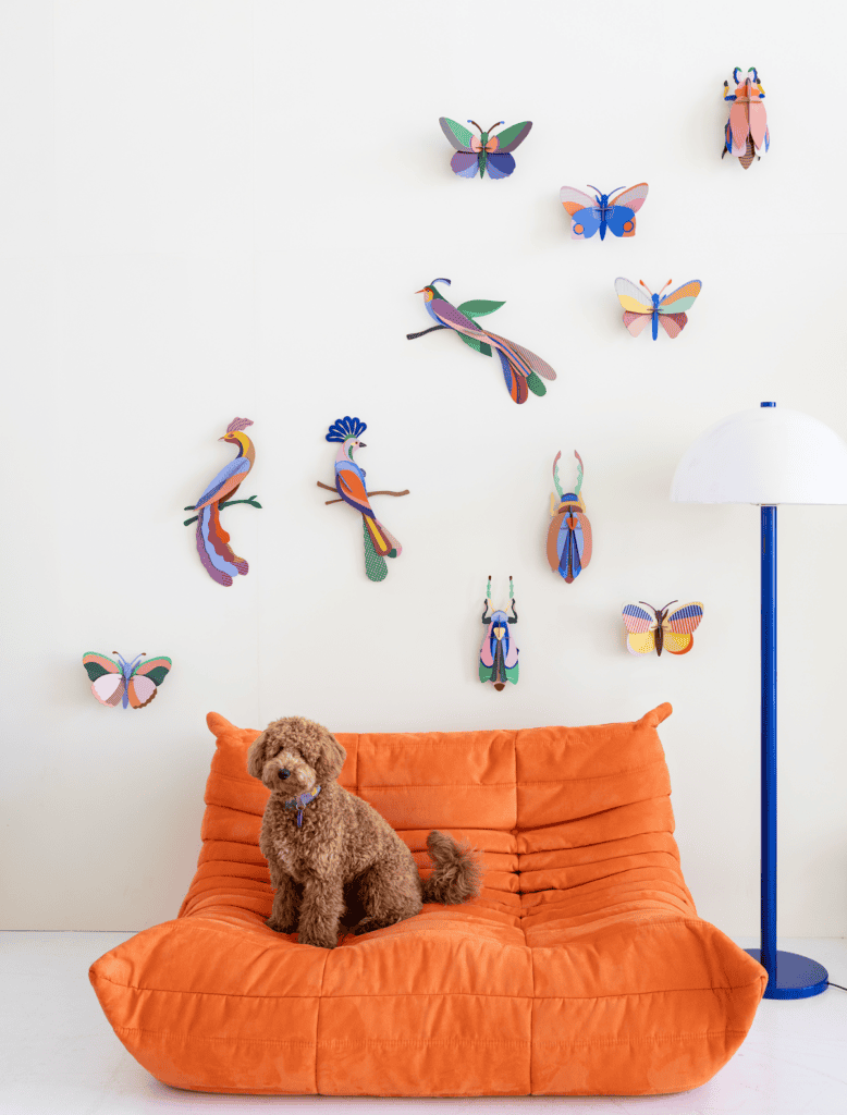 Studio Roof Sycamore Butterfly Thema's Sycamore Butterfly Vlinders