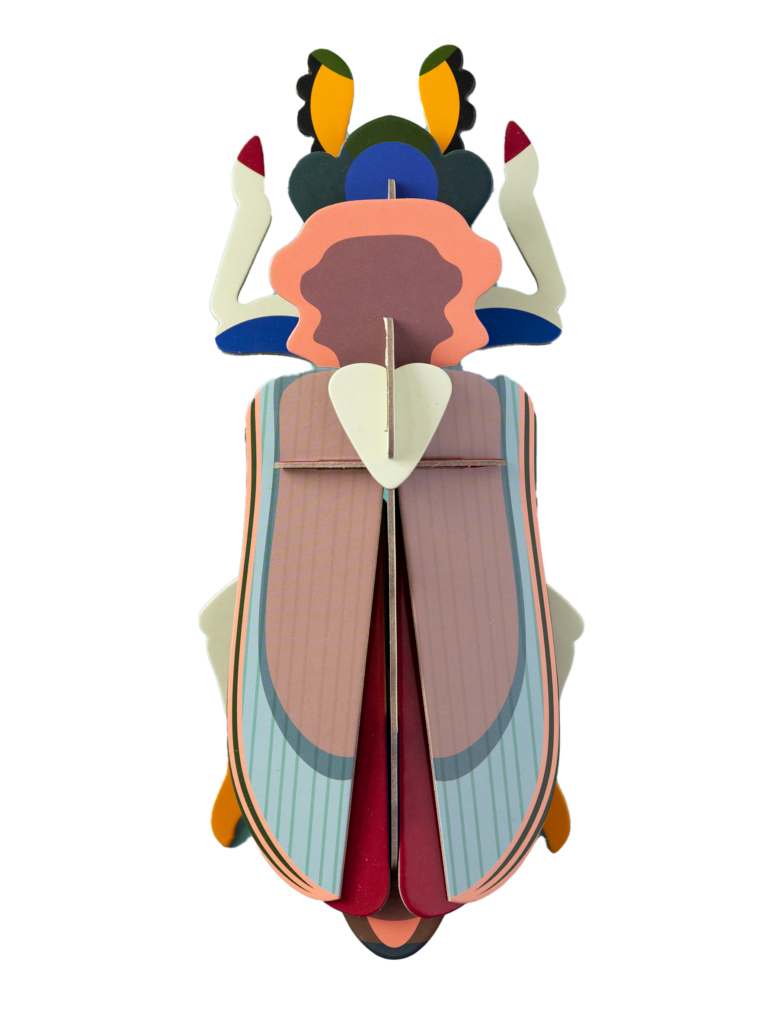 studio roof Tiger Beetle Thema's Tiger Beetle Kevers