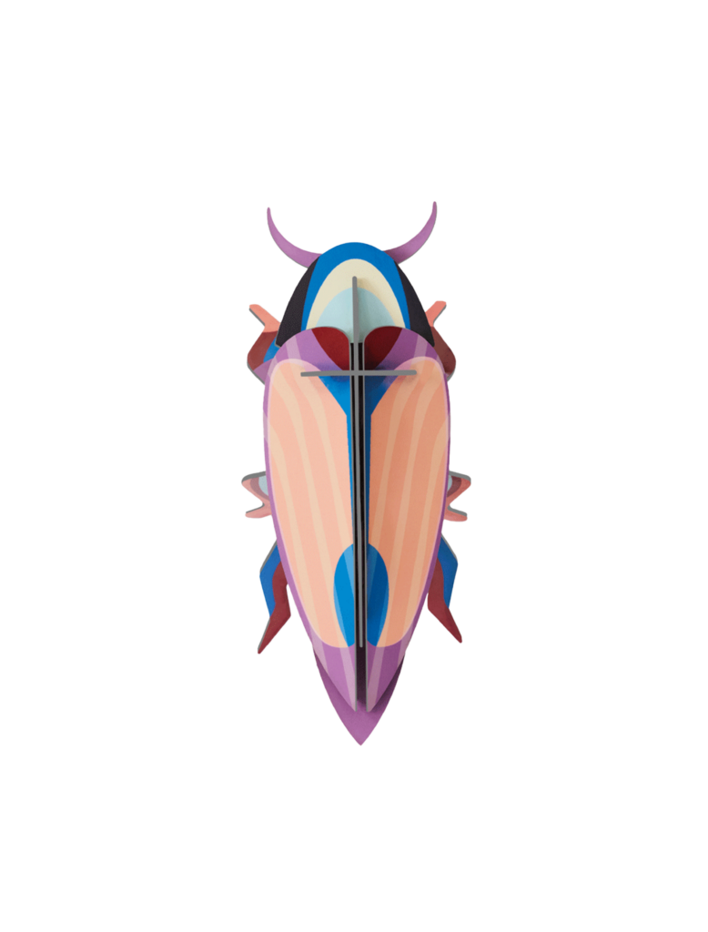 studio roof Violet Click Beetle Thema's Violet Click Beetle Kevers