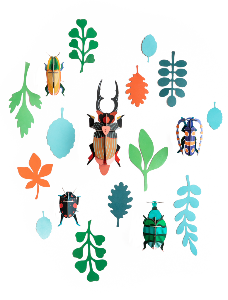 studio roof Wall of Curiosities Beetle Antiquary Thema's Wall of Curiosities Beetle Antiquary Kevers