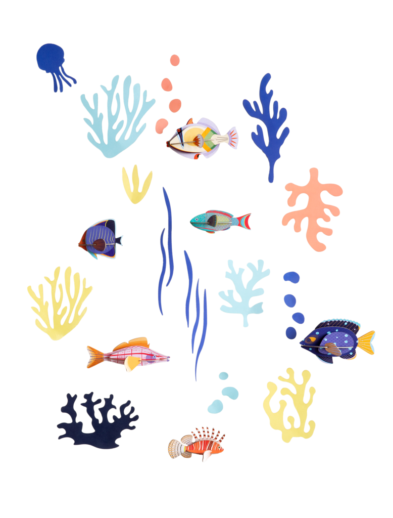 studio roof Wall of Curiosities Fish Hobbyist Thema's Wall of Curiosities Fish Hobbyist Zeedieren