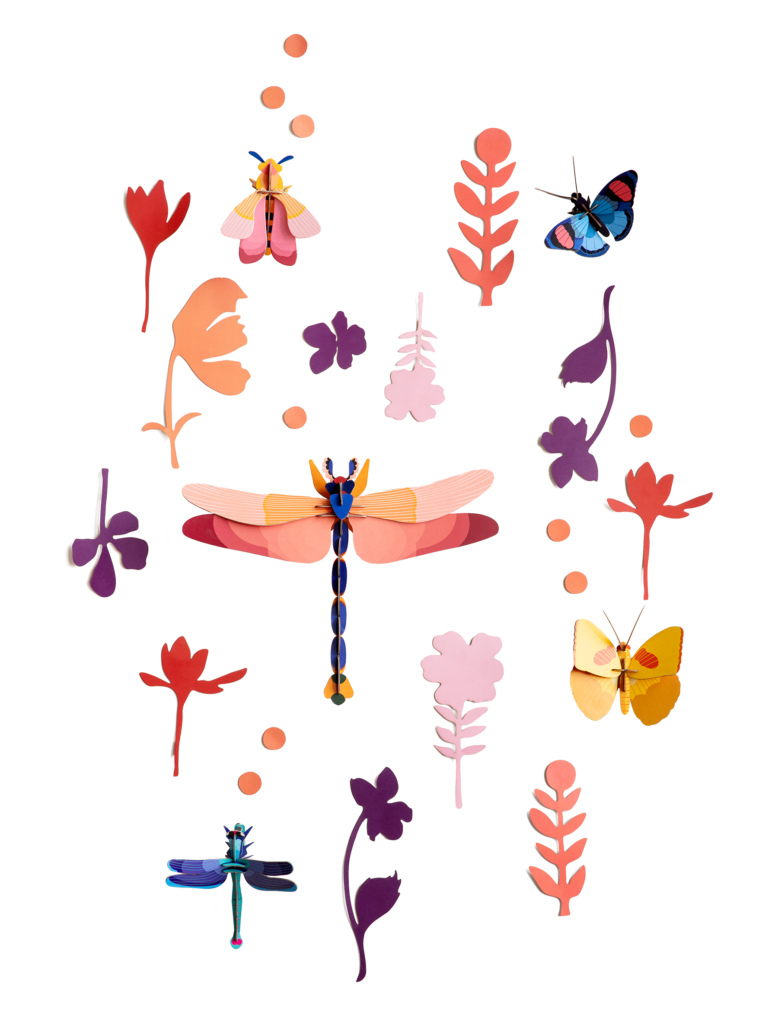 studio roof Wall of Curiosities Insect Connoisseur Thema's Wall of Curiosities Insect Connoisseur Vlinders