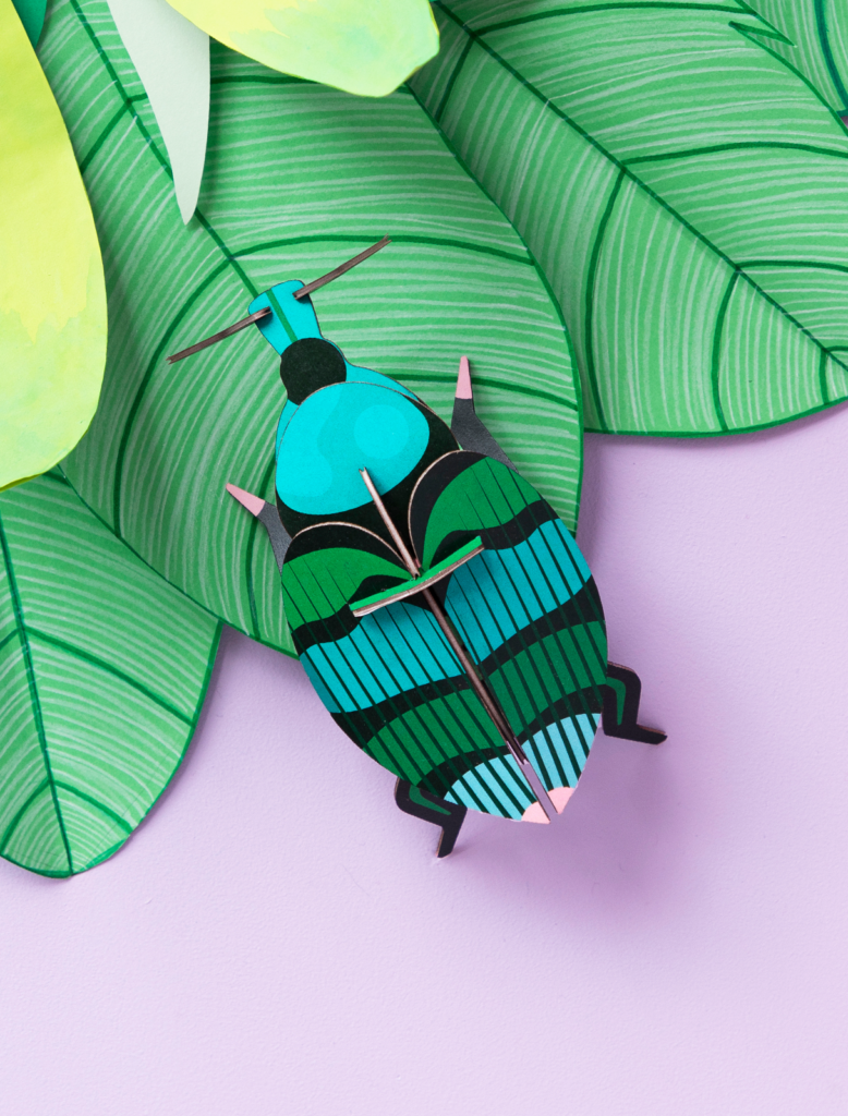 Studio Roof Weevil Beetle Thema's Weevil Beetle Kevers