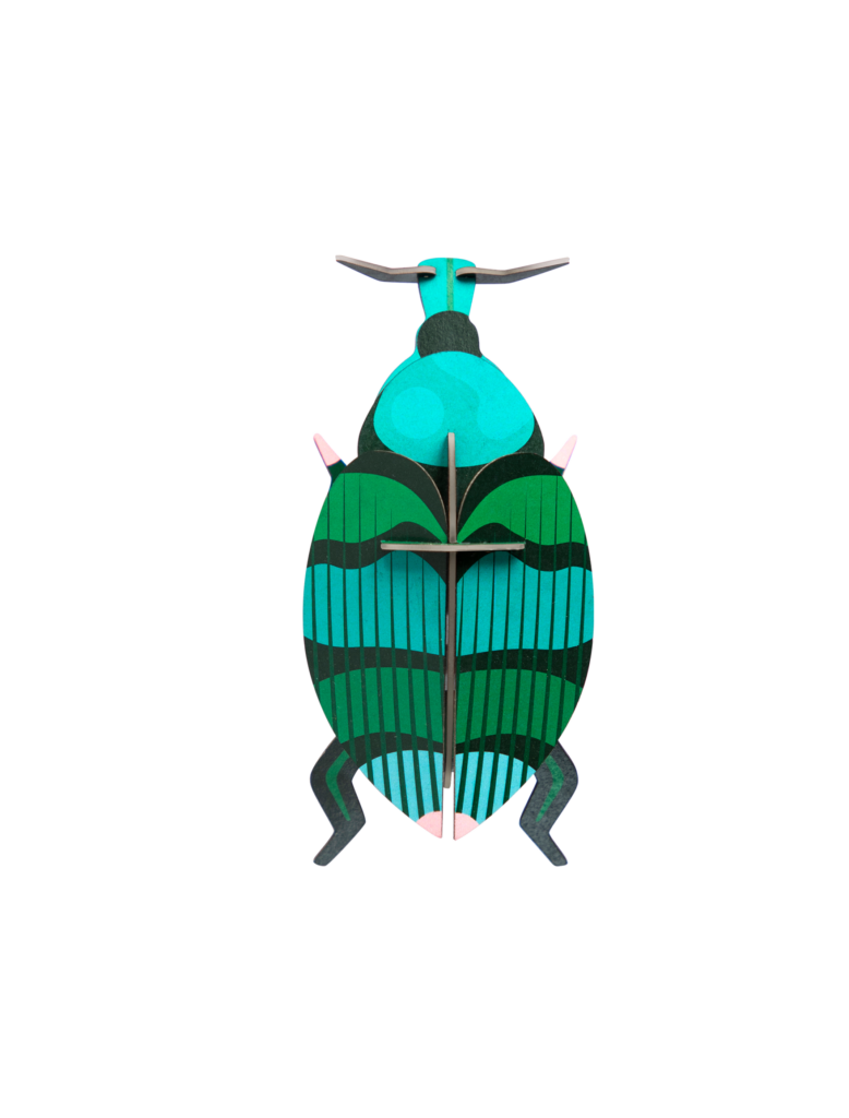 studio roof Weevil beetle Thema's Weevil beetle Kevers