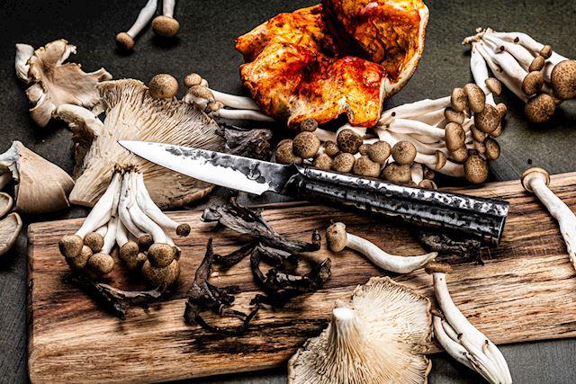 style de vie Forged Brute Schilmes