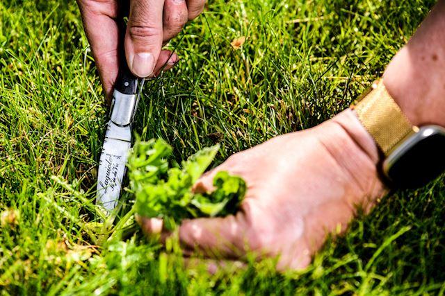 style de vie Luxury Line Zakmes Zwart Pakkahout