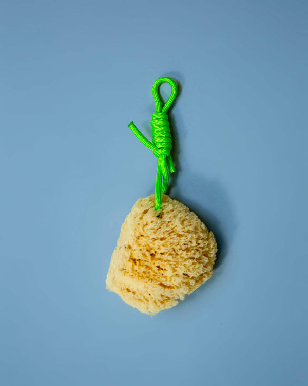 suite702 Mediterrane natuurspons Groene Koord Groen Koord