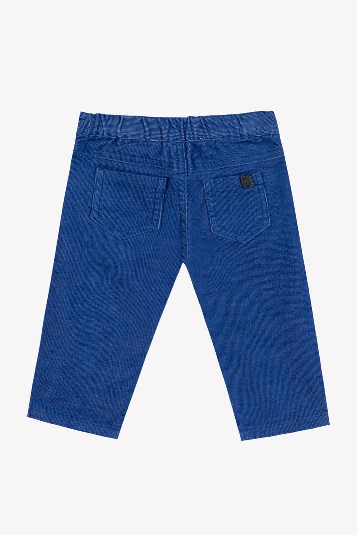 Tartine Et Chocolat Broek Blauw Elektrisch In Velours Blauw Gletsjer