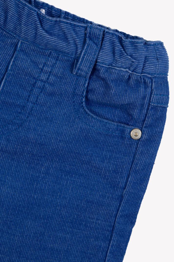 Tartine Et Chocolat Broek Blauw Elektrisch In Velours Blauw Gletsjer