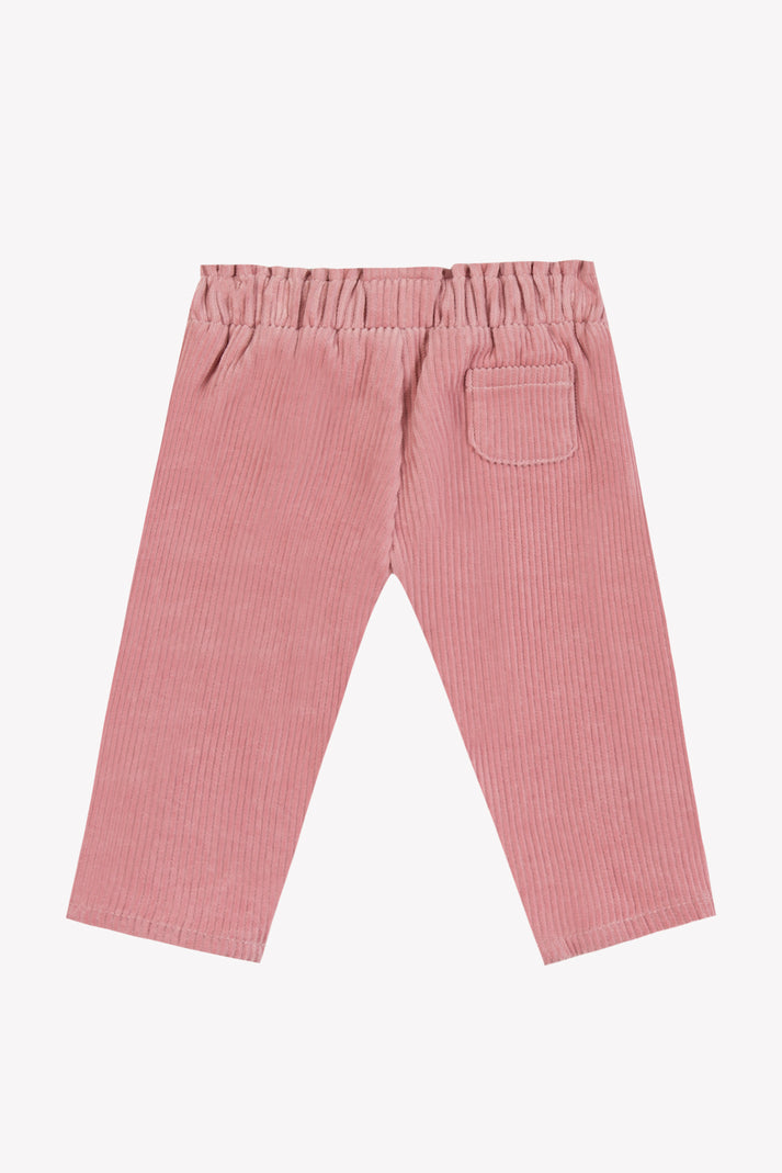 Tartine Et Chocolat Broek Myosotis Velours Knooppunt Eglantine