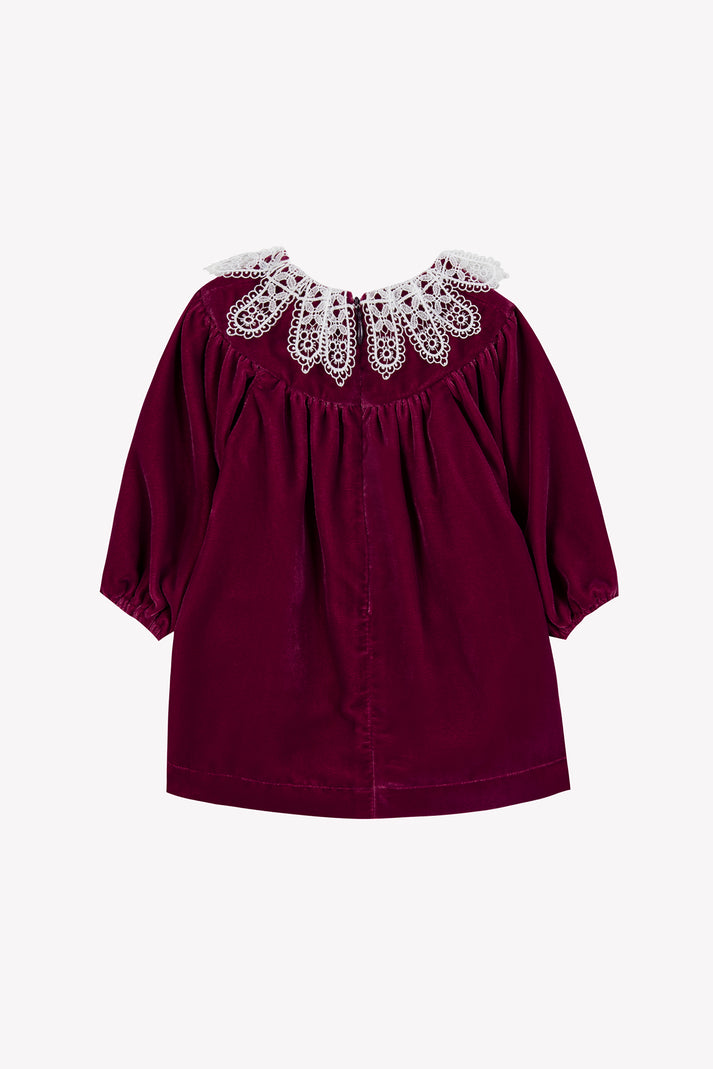 Tartine Et Chocolat Jurk Pruim Erin Velours Rododendron