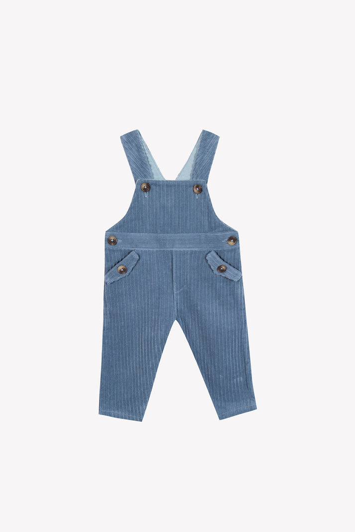 tartine et chocolat Lange overalls Blauw GrijsÉ in Velours Navy
