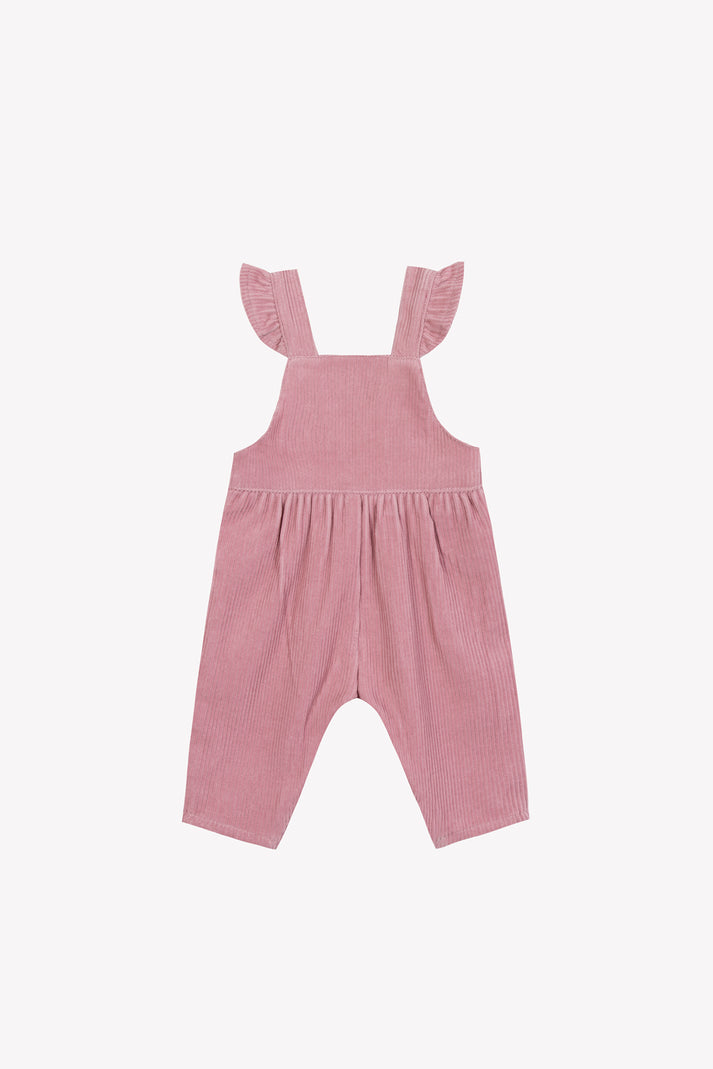 Tartine Et Chocolat Lange Overalls Eglantine In Velours Eglantine