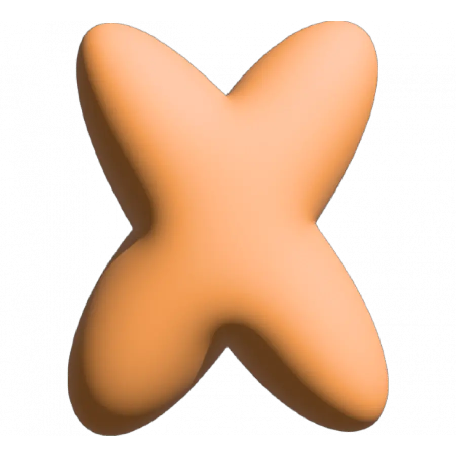 The Gift Label Wall Letter - X - Orange