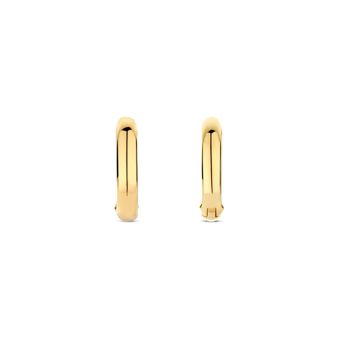 Ti Sento Milano TI SENTO Oorbellen 7759SY