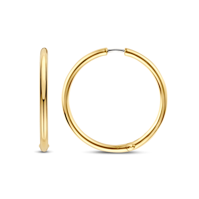 Ti Sento Milano TI SENTO Oorbellen 78007SY