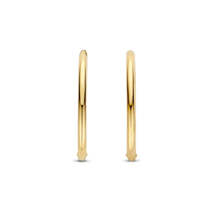 Ti Sento Milano TI SENTO Oorbellen 78007SY