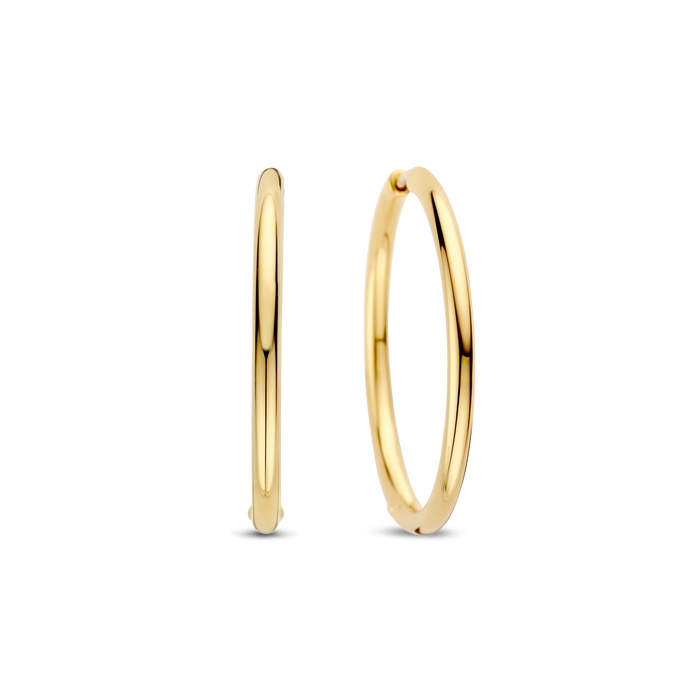 ti sento milano TI SENTO Oorbellen 78007SY