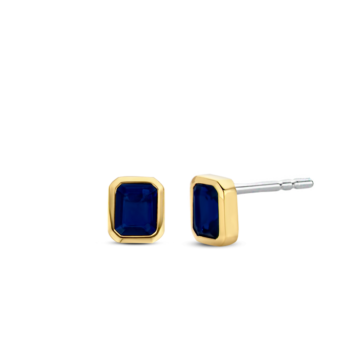 ti sento milano TI SENTO Oorbellen 7893BY