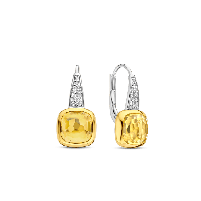 ti sento milano TI SENTO Oorbellen 7969DY