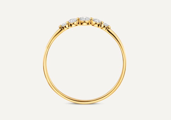 Tov Essentials Diamant Graduated Ring (0.17 Ct) 14 Karaat Goud Met Diamanten