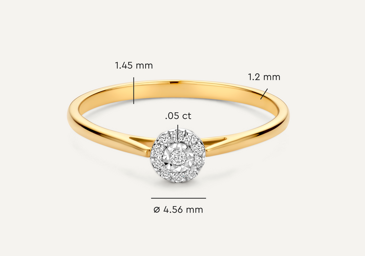 Tov Essentials Diamant Halo Ring (0.05 Ct) 14 Karaat Goud Met Diamanten