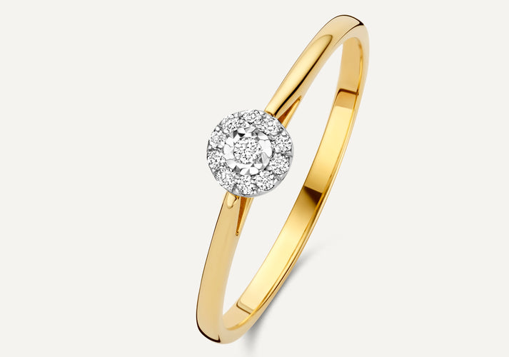 tov essentials Diamant Halo Ring (0.05 ct) 14 Karaat Goud met Diamanten tov essentials Diamant Halo Ring (0.05 ct) 14 Karaat Goud met Diamanten