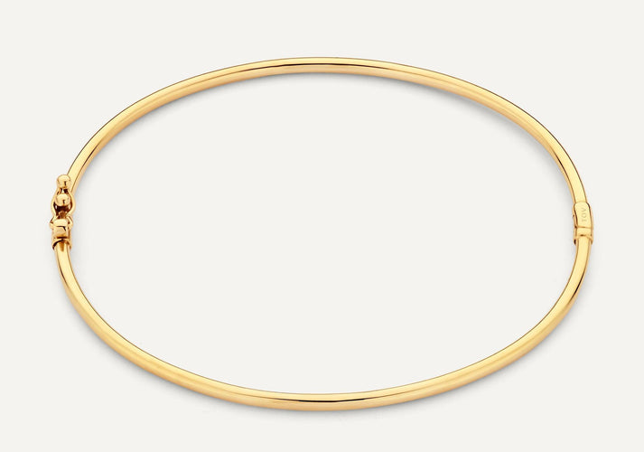 tov essentials Dunne Essential Bangle 14 Karaat Goud