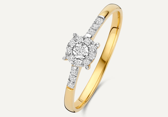 tov essentials Pavé Four Prong Diamant Halo Ring (0.15 ct) 14 Karaat Goud met Diamanten