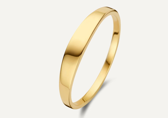 tov essentials Essential Zegelring 14 Karaat Goud