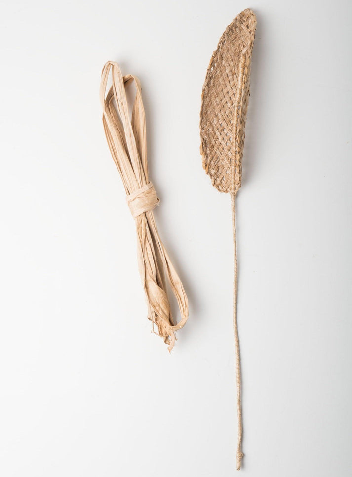 Urban Nature Culture Decoratieve Bloem Praia