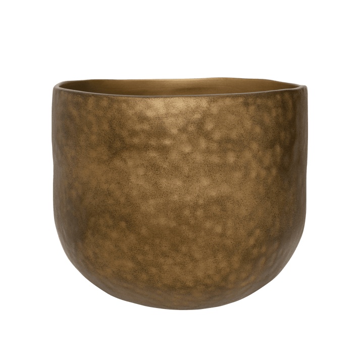 urban nature culture Pot Oro L