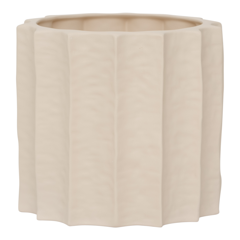 urban nature culture Pot Scallop