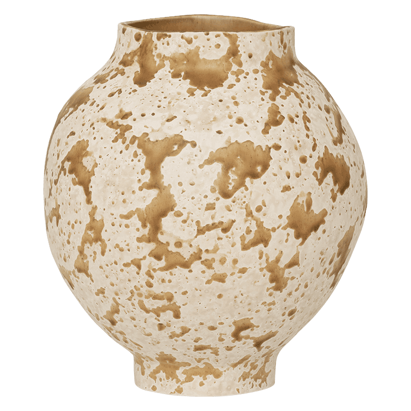 urban nature culture Vaas Heron Starfish