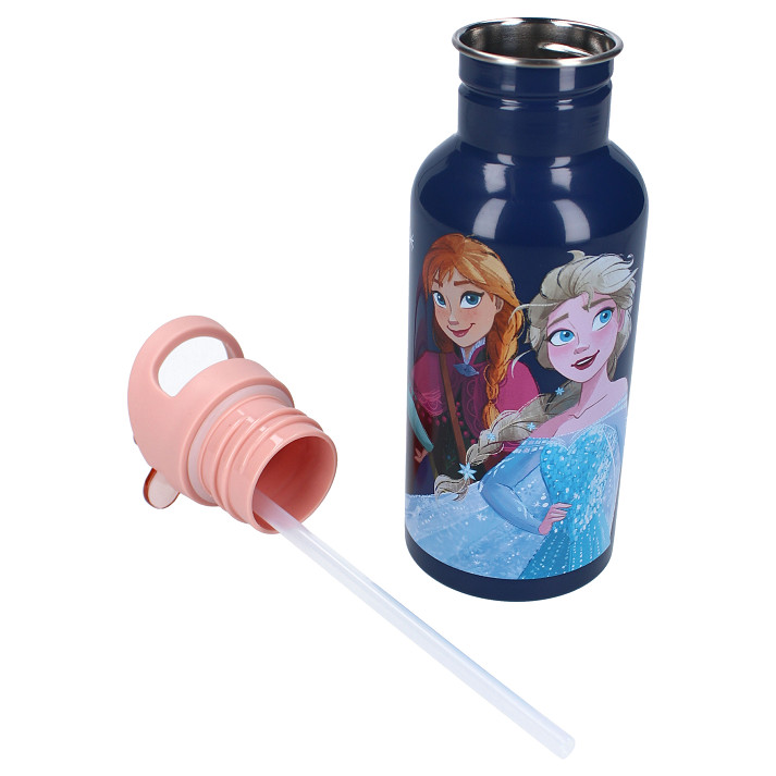 Vadobag Drinkfles 500ml Frozen II Take A Sip