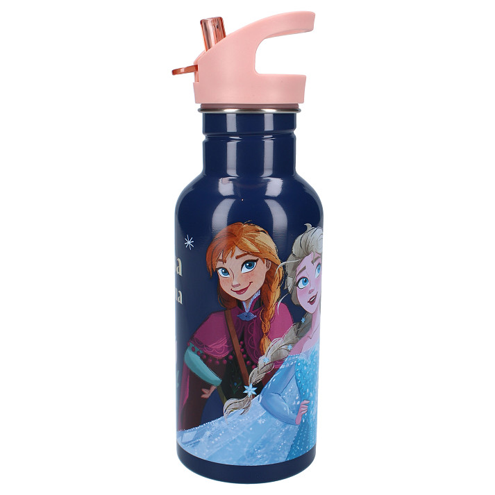 vadobag Drinkfles 500ml Frozen II Take A Sip