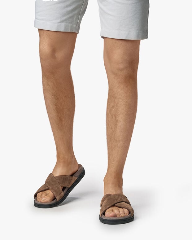 van bommel Aperta 02.05 Cognac