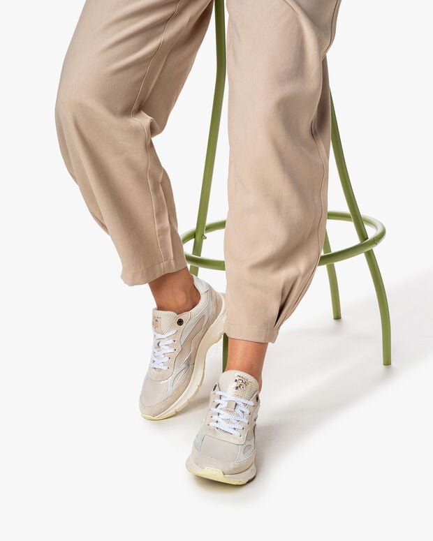 van bommel Daysi 01.05 Donkerwit