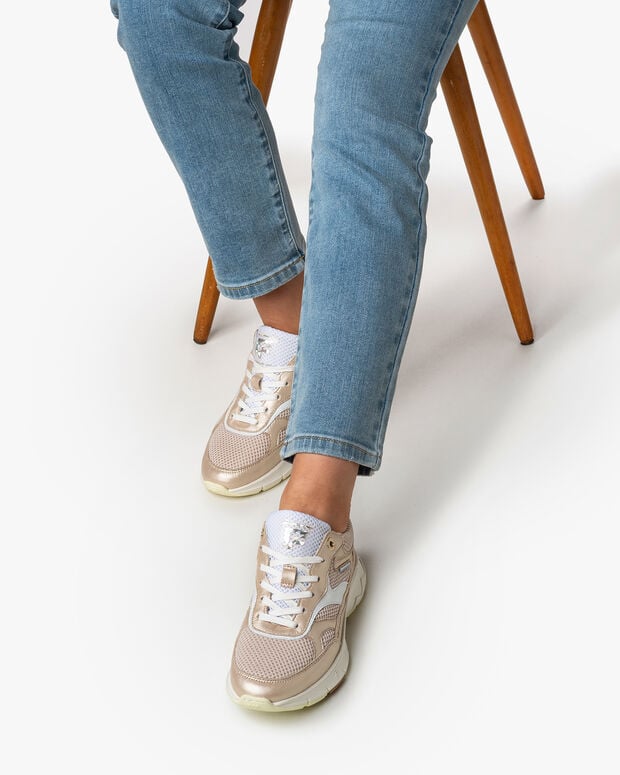 van bommel Daysi 03.03 Goud