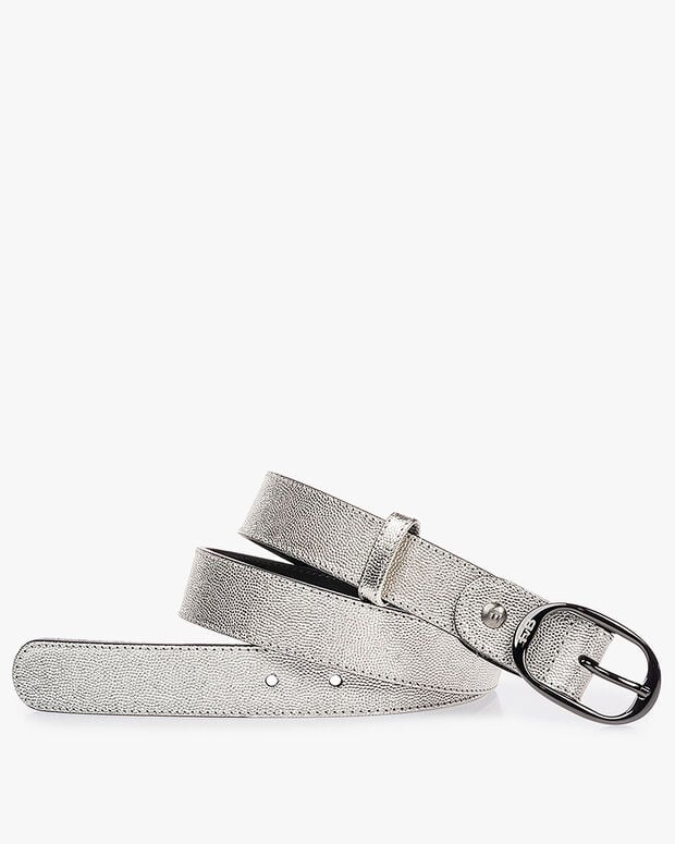 van bommel De Belter 43.01 Zilver