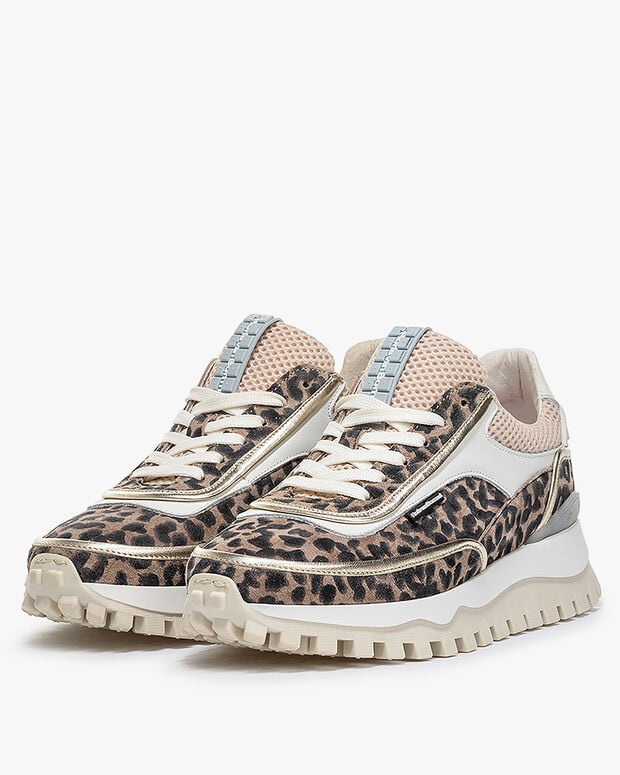 Van Bommel Grommi 02.05 Taupe