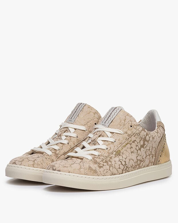 Van Bommel Minni 03.02 Goud