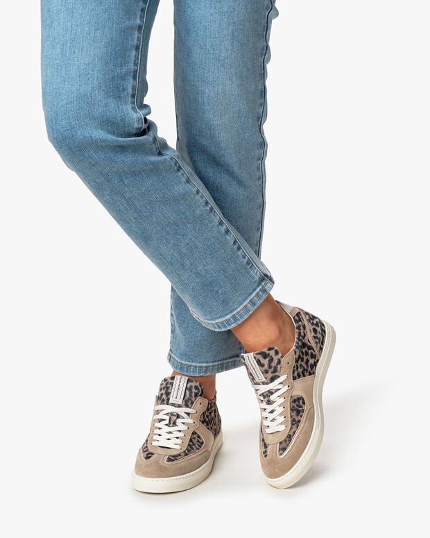 van bommel Minni 04.02 Taupe